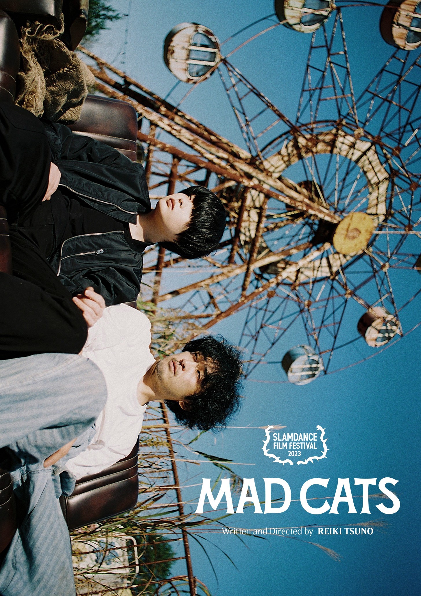 Mad Cats