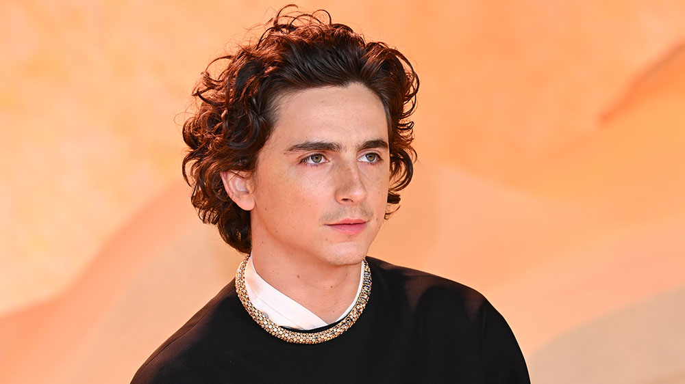 LONDON, ENGLAND - FEBRUARY 15: Timothée Chalamet attends the World Premiere of