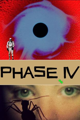 Phase IV