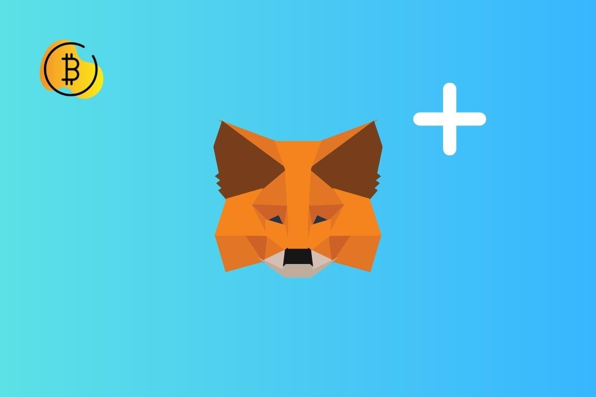 كيفية إضافة شبكة في محفظة MetaMask