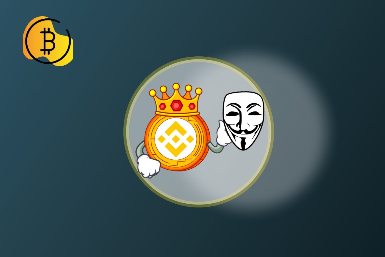 ما سبب ثبات وقوة سعر عملة BNB رغم الانهيارات الكبيرة للأسواق؟