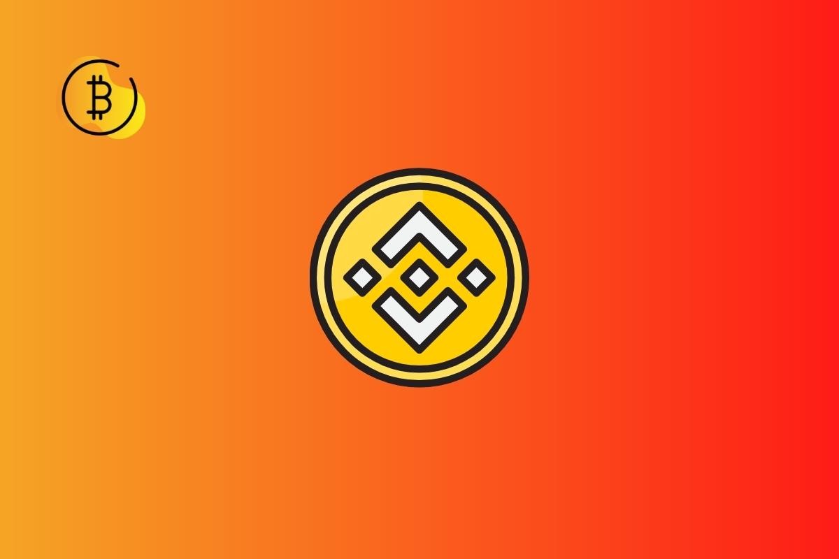 ماذا يعني مصطلح Binance؟