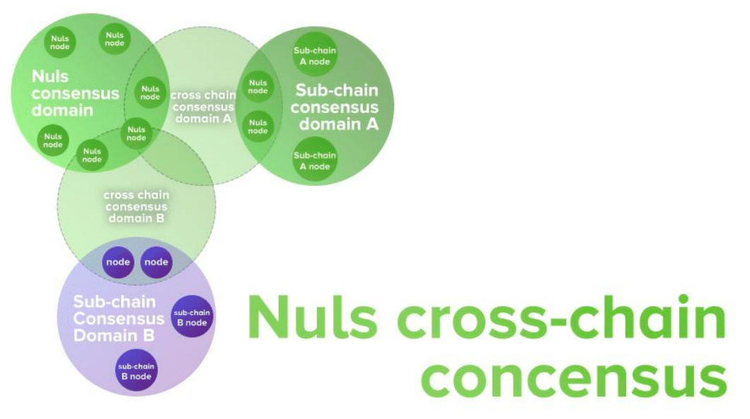 تقاطع الشبكات في NULS 