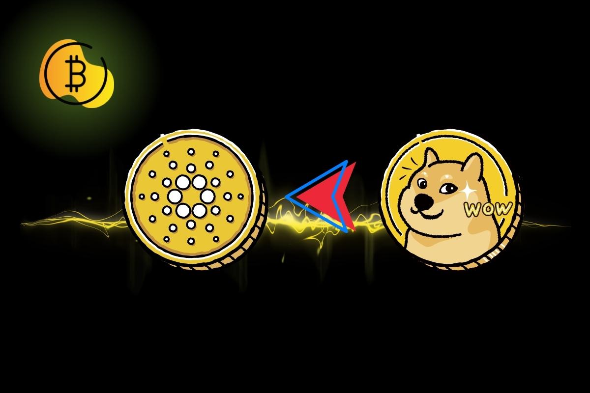 دعوة لنقل عملة DOGE الرقمية إلى شبكة كاردانو