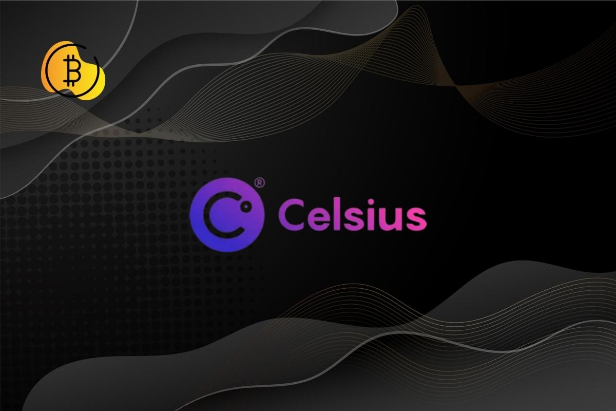 كارثة تحل على مستخدمي منصة Celsius بعد نشر جميع معلوماتهم