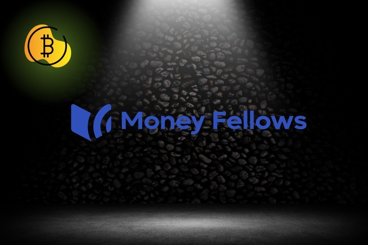 ماذا ستفعل شركة Moneyfellows بعد جمعها ملايين الدولارات من المصريين؟