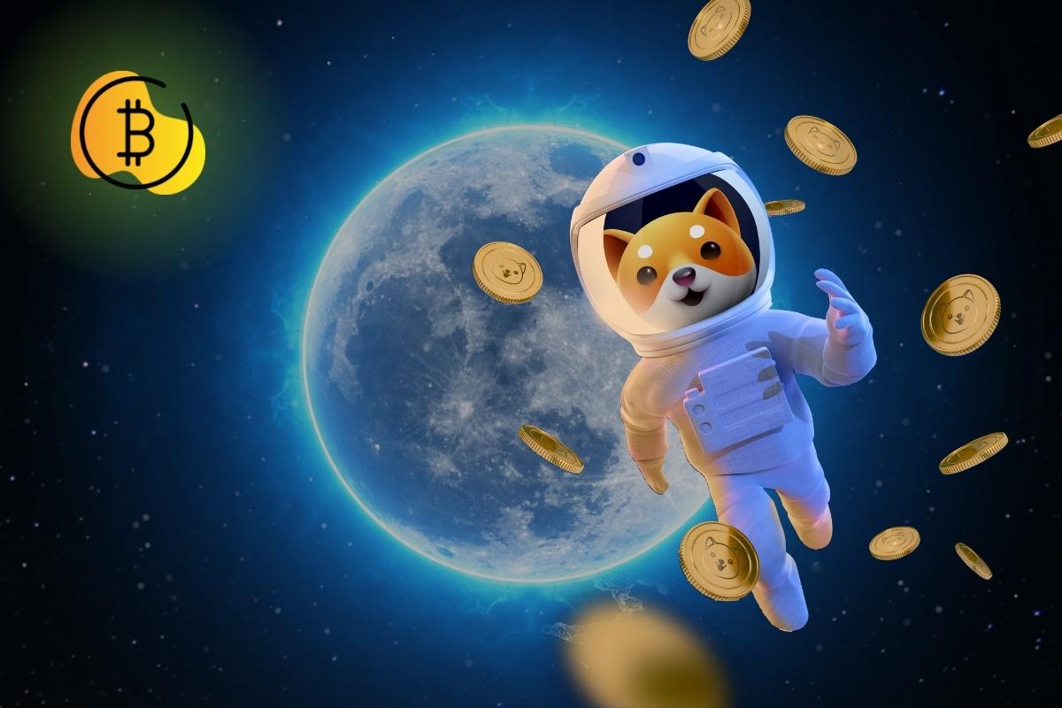 مشروع جديد لحرق عملة Baby DogeCoin بيبي دوجكوين