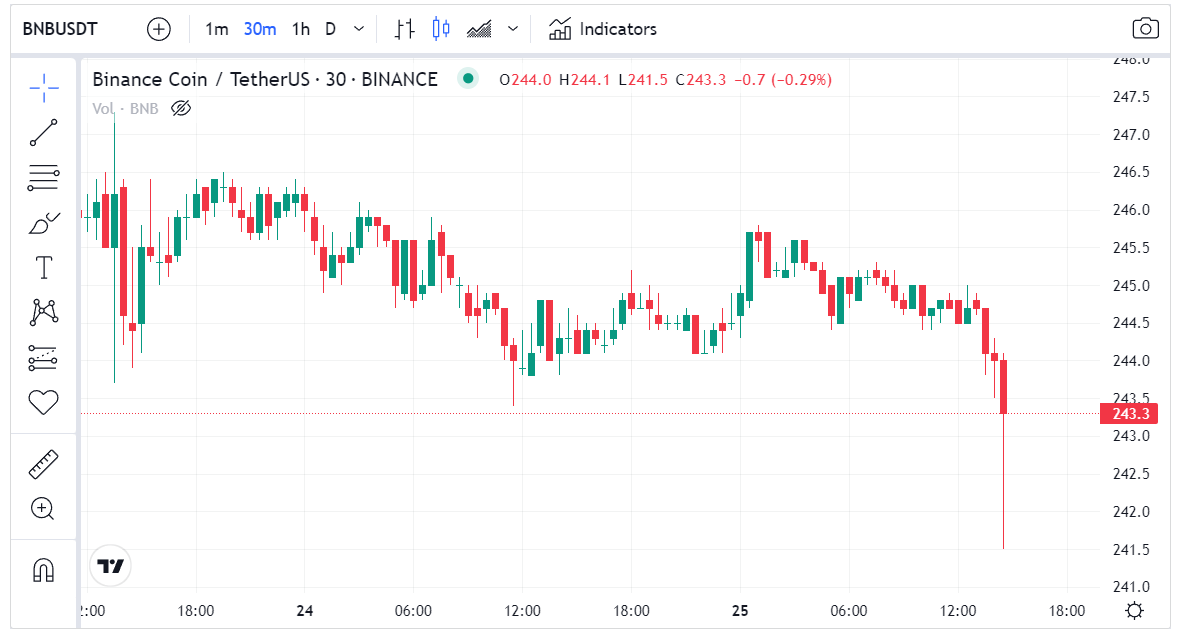 سعر عملة BNB