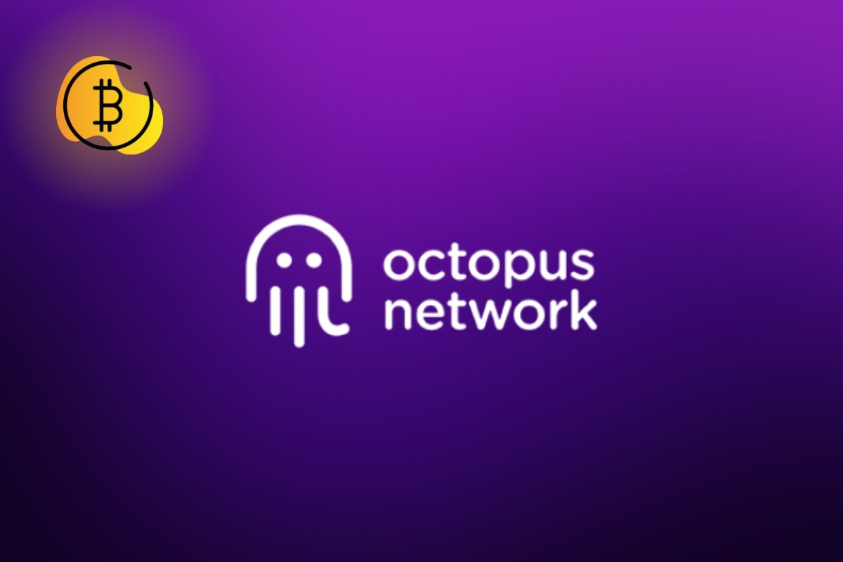 شبكة Octopus تطرد 40% من موظفيها