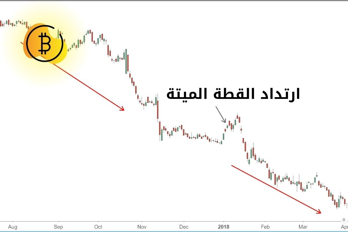 مثال عن ارتداد القطة الميتة