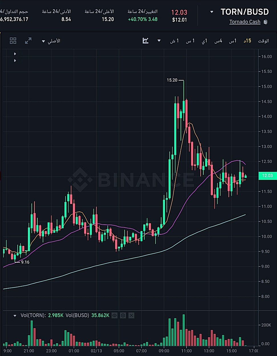 سعر عملة TORN وفق موقع بينانس