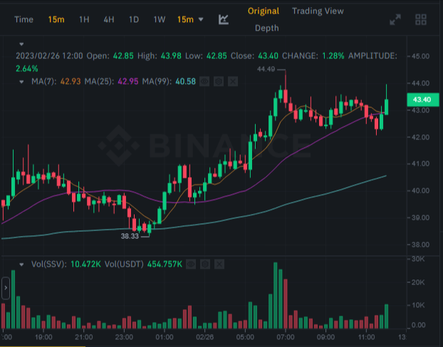 سعر وحجم تداول عملة SSV الرقمية وفق موقع بينانس.