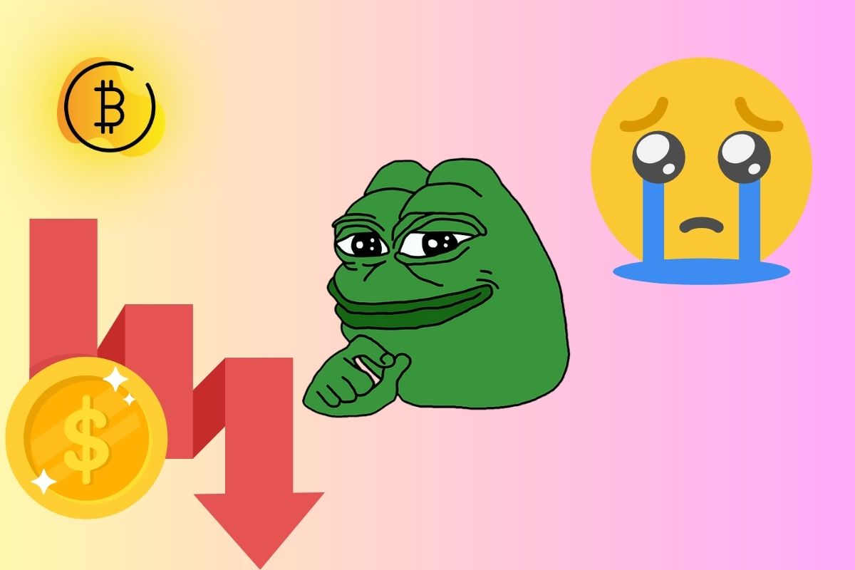 كيف تسببت عملة PEPE بخسارة مستثمر 300 ألف دولار؟