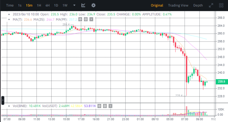 سعر عملة بينانس BNB الرقمية وفق موقع بينانس.