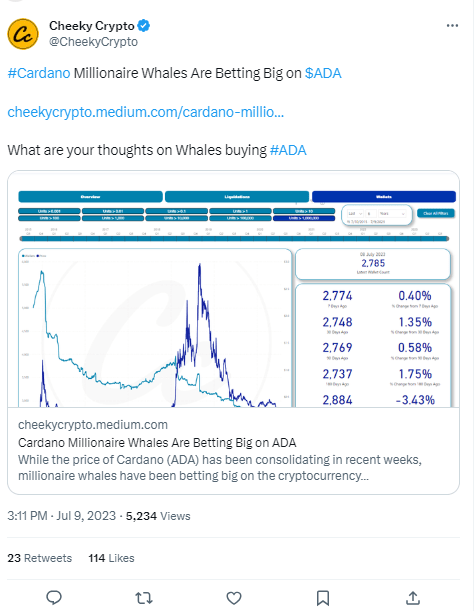 تغريدة Cheek Crypto حول حركة الحيتان تجاه عملة كاردانو