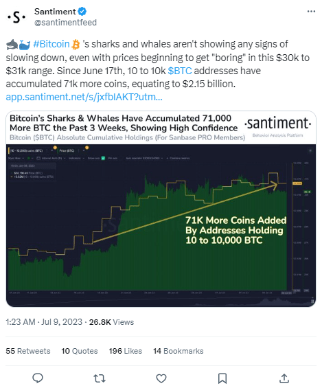تغريدة شركة Santiment حول حركة الحيتان تجاه البيتكوين في الآونة الأخيرة