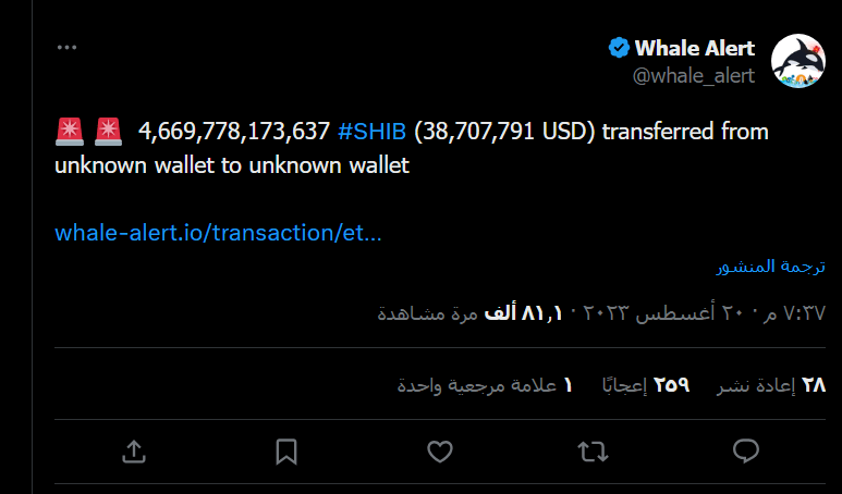 Whale Alert، منصة تتبع معاملات الحيتان الشهيرة