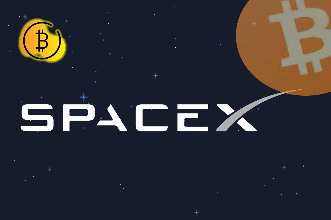 هل استغنت شركة SpaceX عن ممتلكاتها من البيتكوين؟