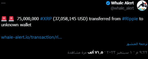 الكشف عن حجم معاملات XRP المنقولة سريا