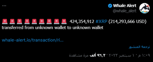 الكشف عن حجم معاملات XRP المنقولة سريا