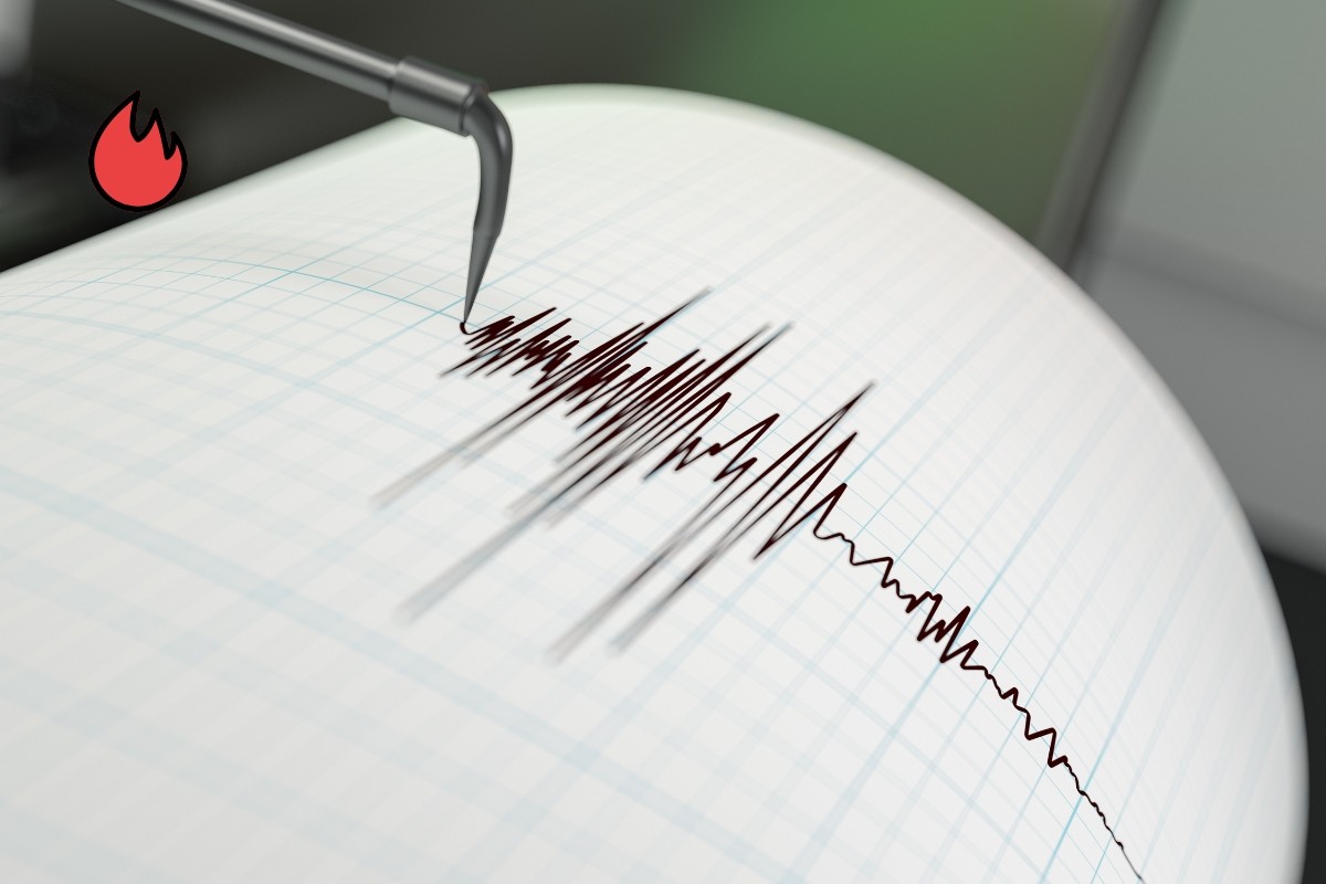 زلزال بقوة 6.6 يضرب سواحل نيوزيلندا