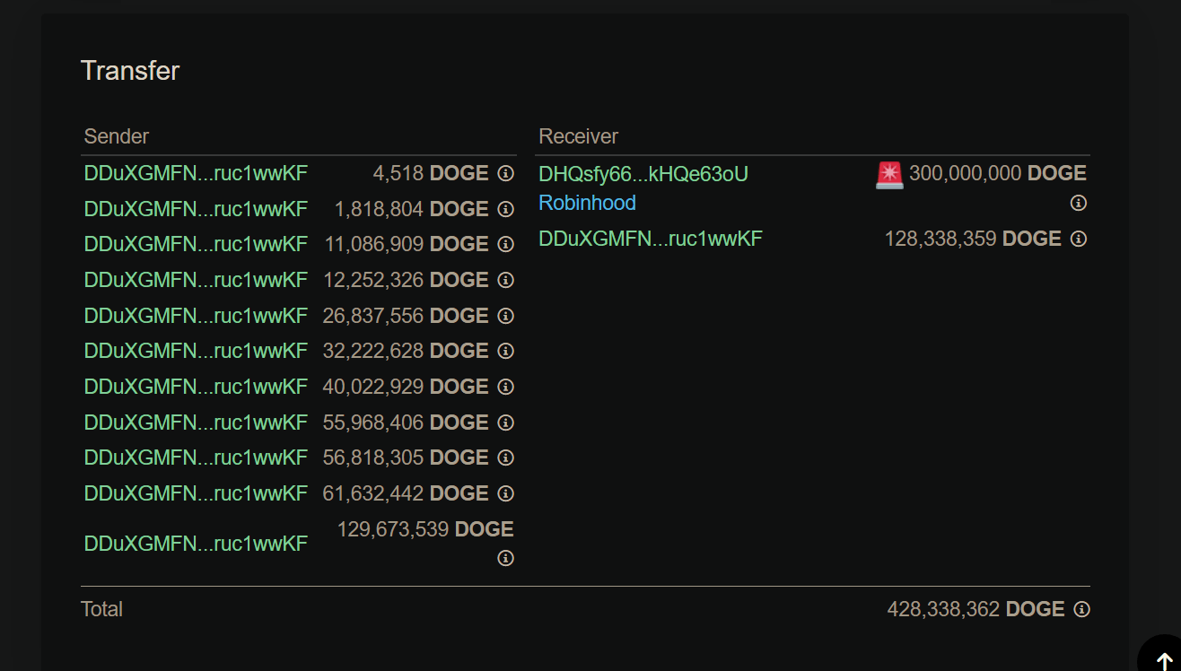 تحويل ضخم قدره 300 مليون دوجكوين