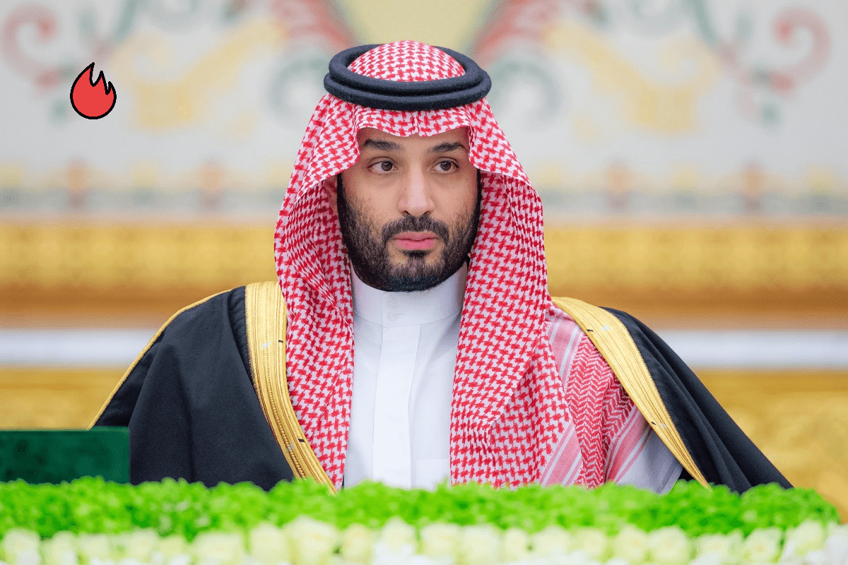 استاد الأمير محمد بن سلمان