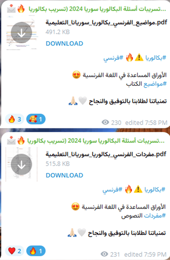 صورة بعض ملفات الفرنسي الخاصة بطلاب البكالوريا - متوفرة على قناة التليغرام