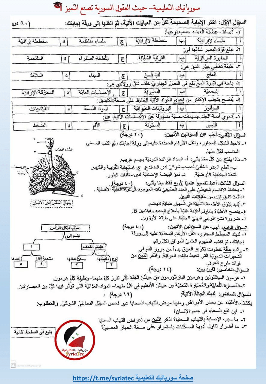 أسئلة العلوم العامة الصف التاسع دورة 2024 الصفحة الأولى